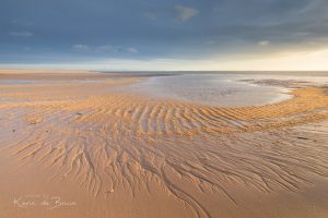 Compositie op het strand