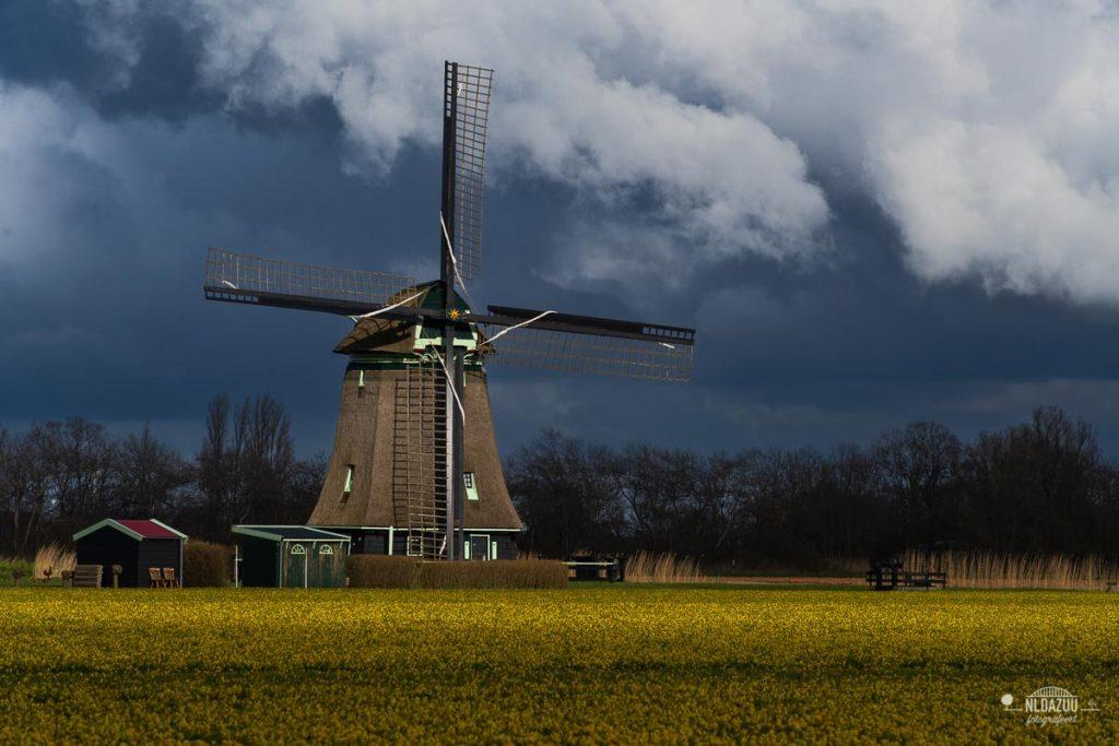 Dave Zuuring - molen