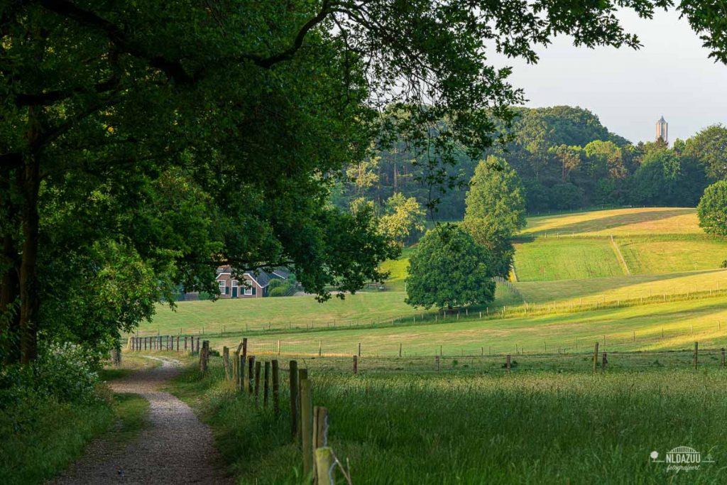 Dave Zuuring - landschap