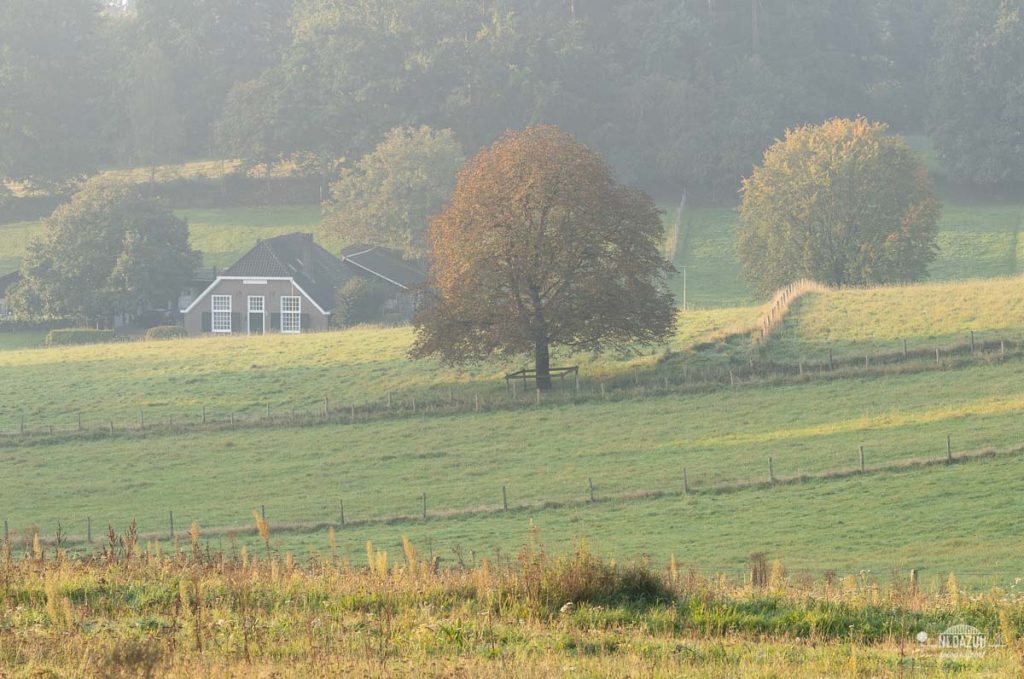 Dave Zuuring - landschap