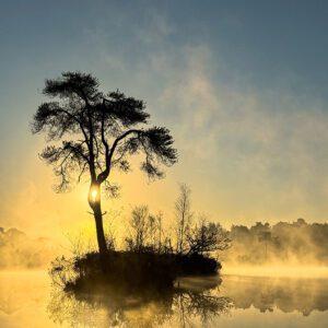 workshop smartphone - Oisterwijk