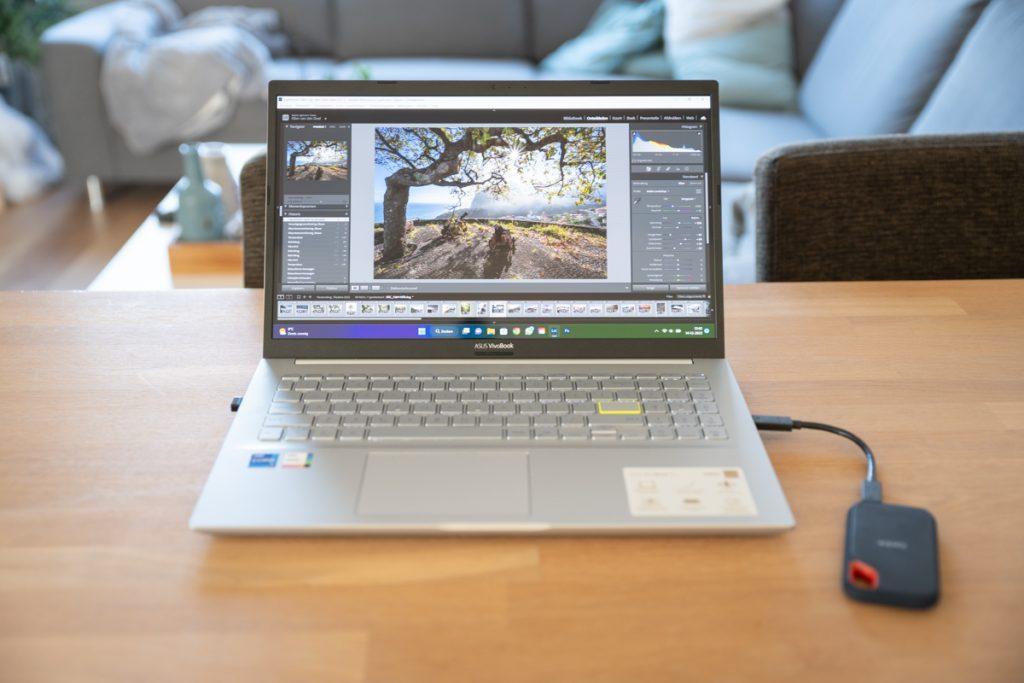 Lightroom laptop - Ellen van den Doel