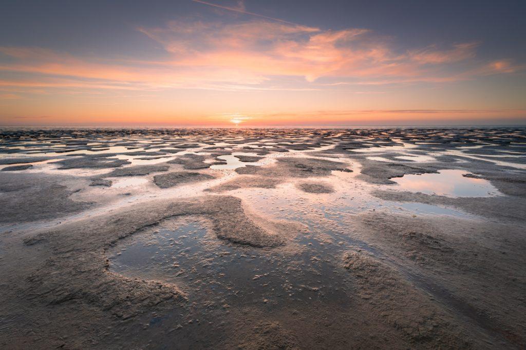 Landschap - Ronald Rozema