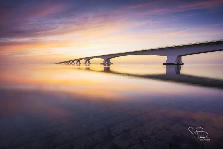 Thom Brouwer - portfolio