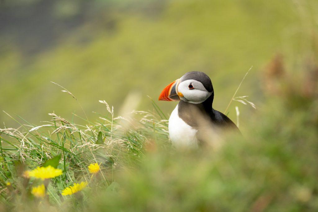 Ellen van den Doel - fotoreis IJsland