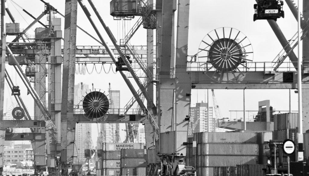 Zwart wit - Ellen van den Doel