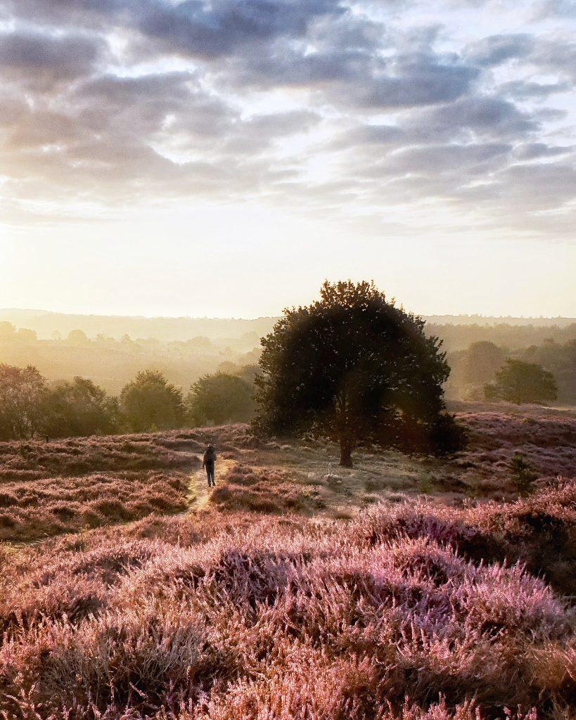 workshop heide smartphone - Saskia van Kuijen