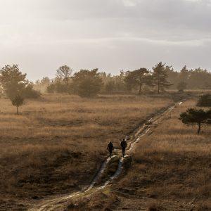 Fotowandeling Dutch Serengeti - Dave Zuuring