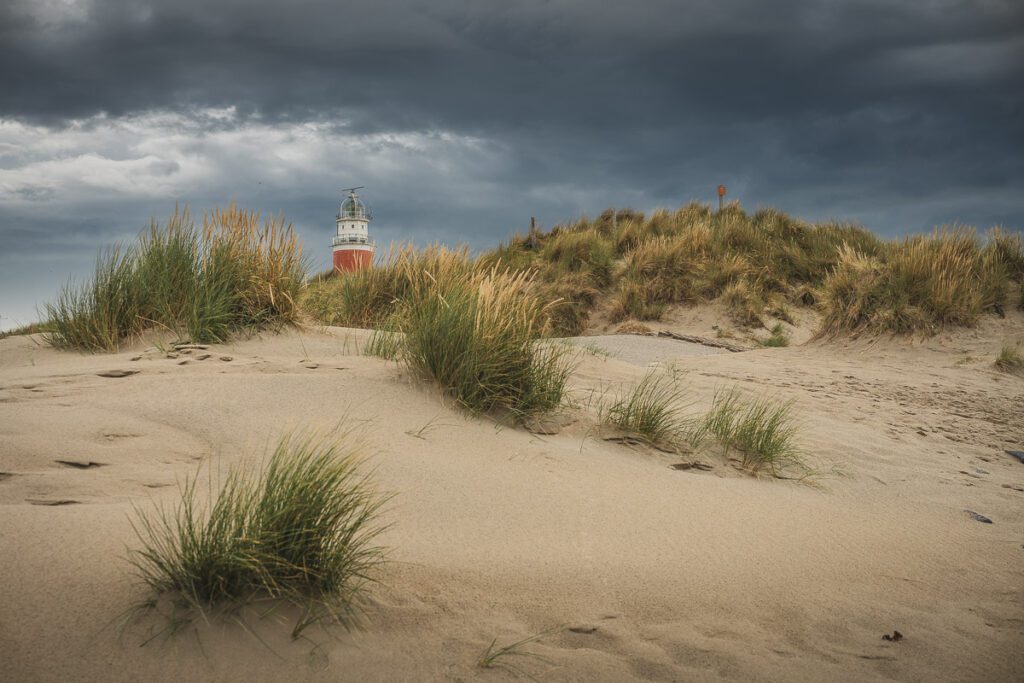 Dave Zuuring - strand