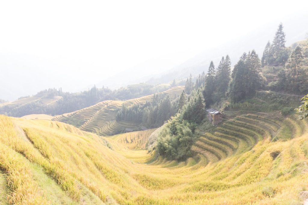 Blunder - Karin de Bruin