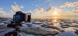 Kase Armour - Ronald Rozema