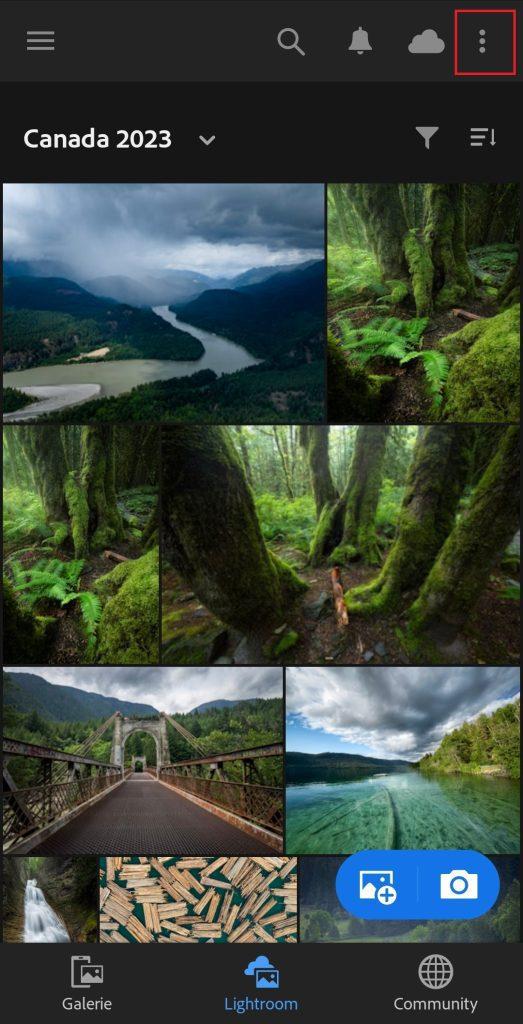 Lightroom - online verzamelingen