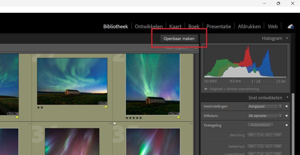 Lightroom - online verzamelingen