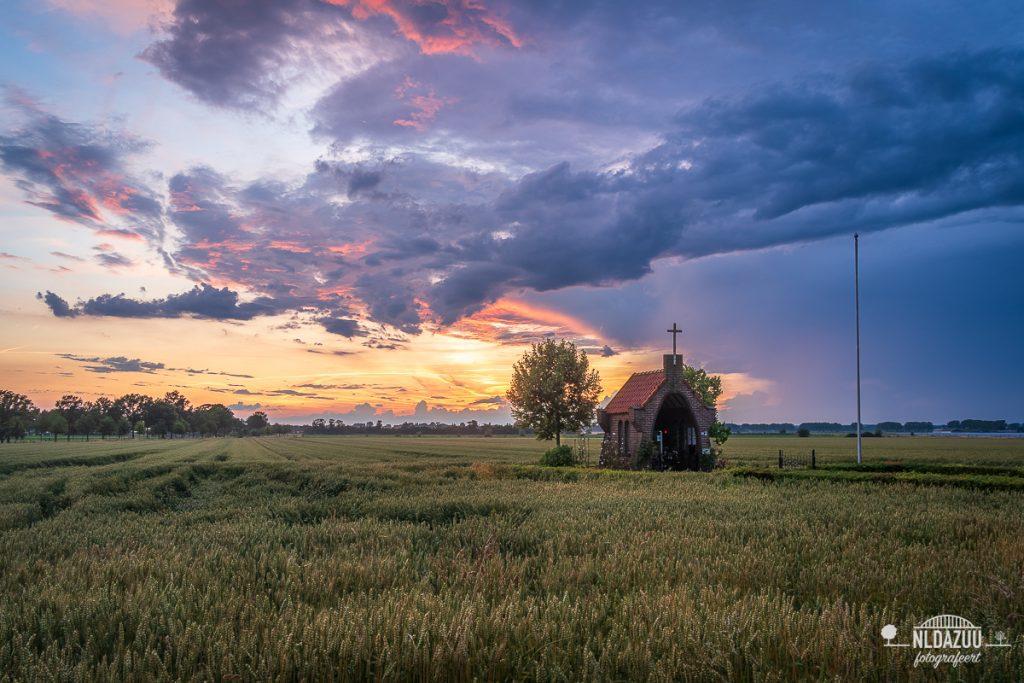 Zomeravond - Dave