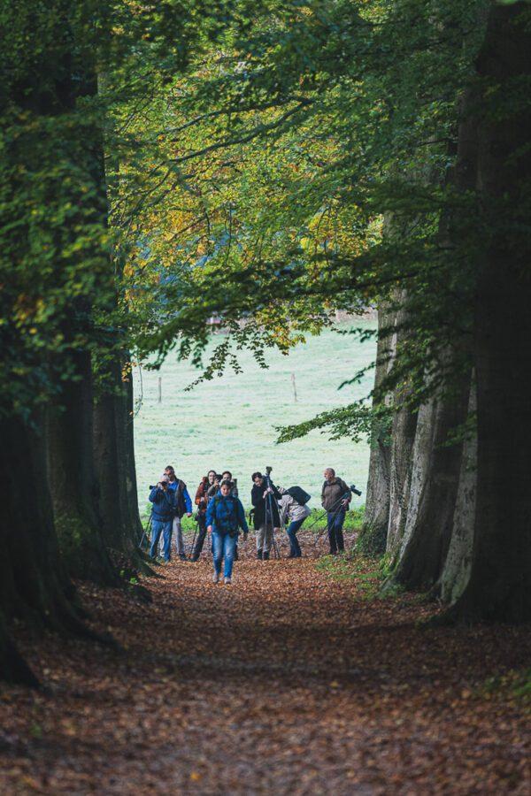 Fotowandeling Zwerven door Arnhemse landgoederen en bossen - Afbeelding 10