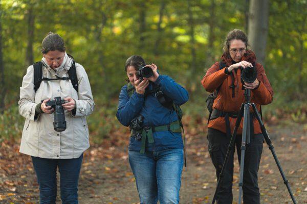 Fotowandeling Zwerven door Arnhemse landgoederen en bossen - Afbeelding 8
