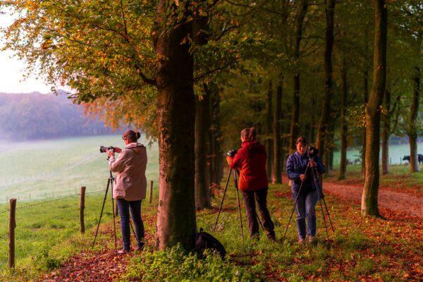 Fotowandeling Zwerven door Arnhemse landgoederen en bossen - Afbeelding 2