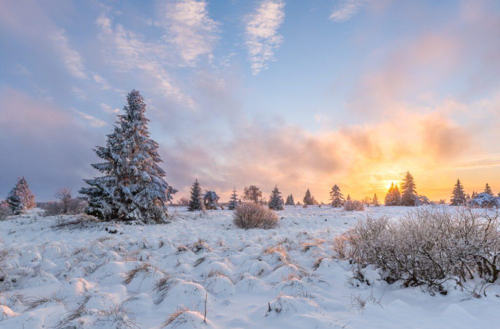 Hoge Venen - Sneeuw - Ellen van den Doel