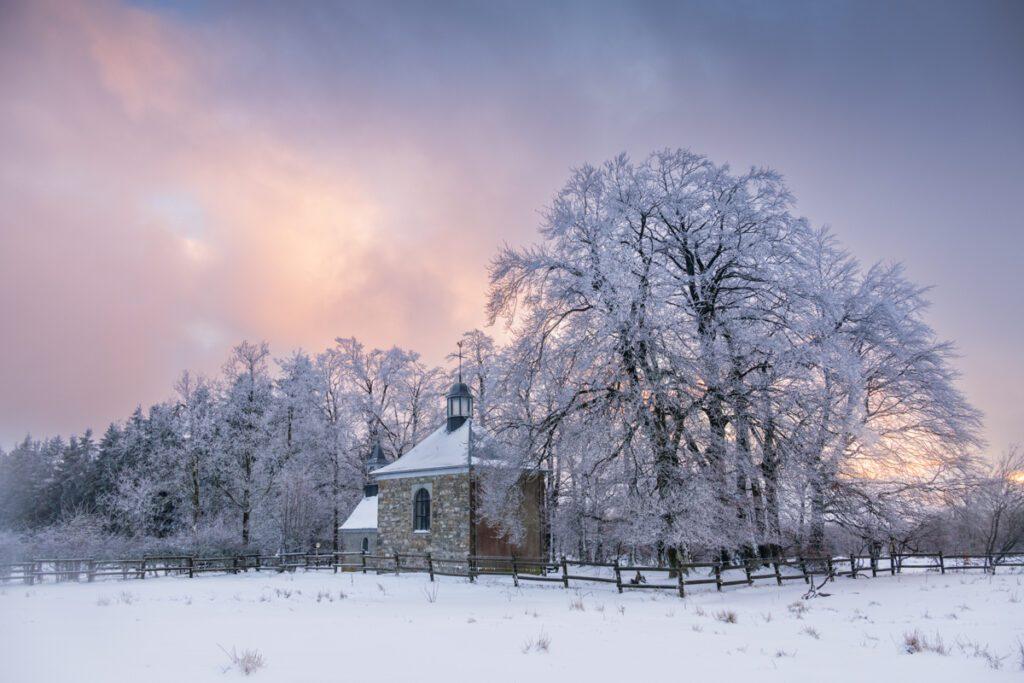 Hoge Venen - Sneeuw - Ellen van den Doel