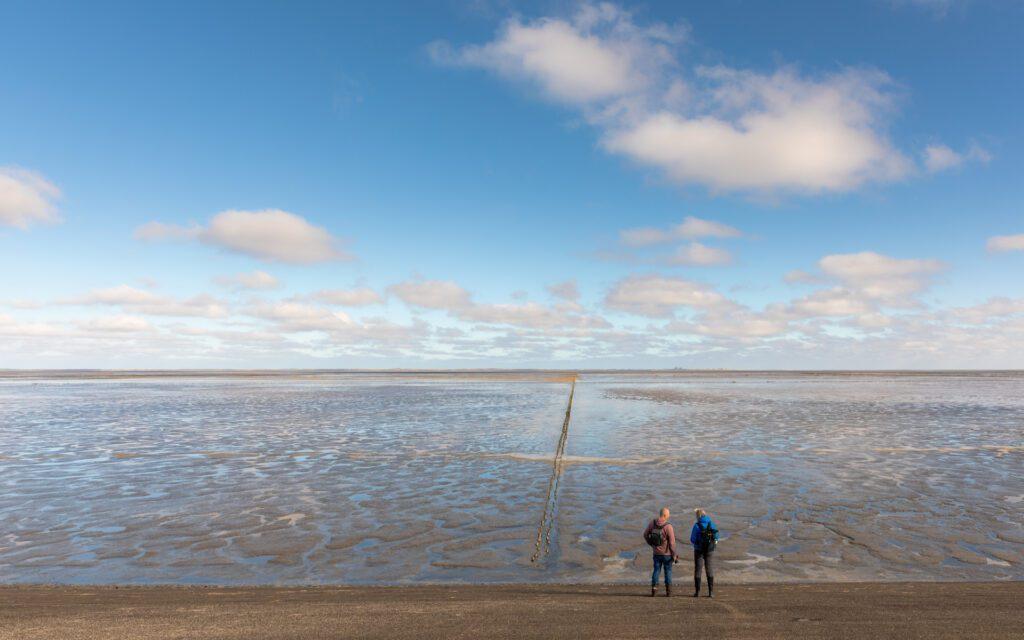 Fotowandeling Friese Wad - Ronald Rozema