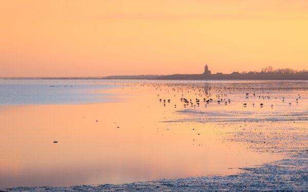 Ronald Rozema - Friese Wad