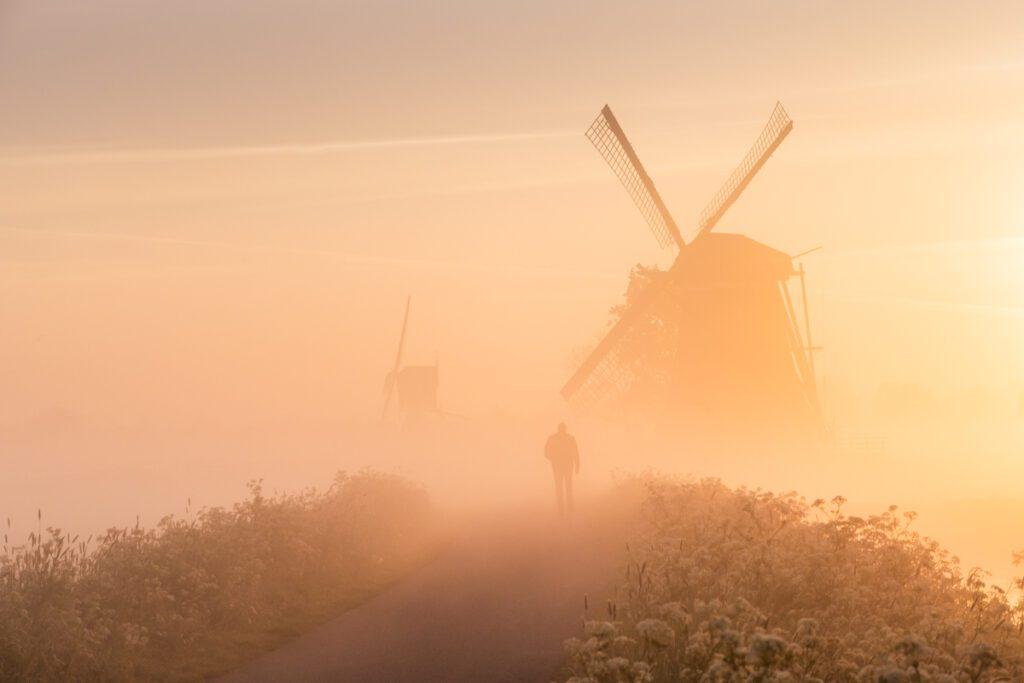 Molen in de mist - Ellen van den Doel