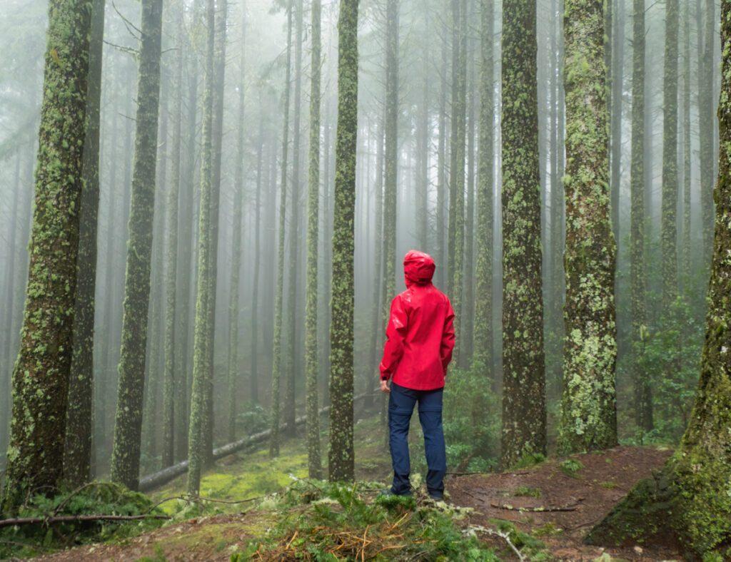 Cortazu - Ellen van den Doel