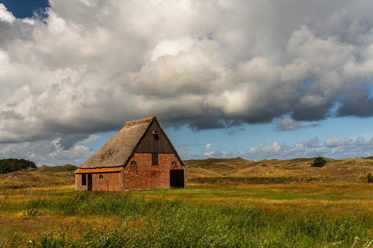 Fotoreis Texel - Dave Zuuring