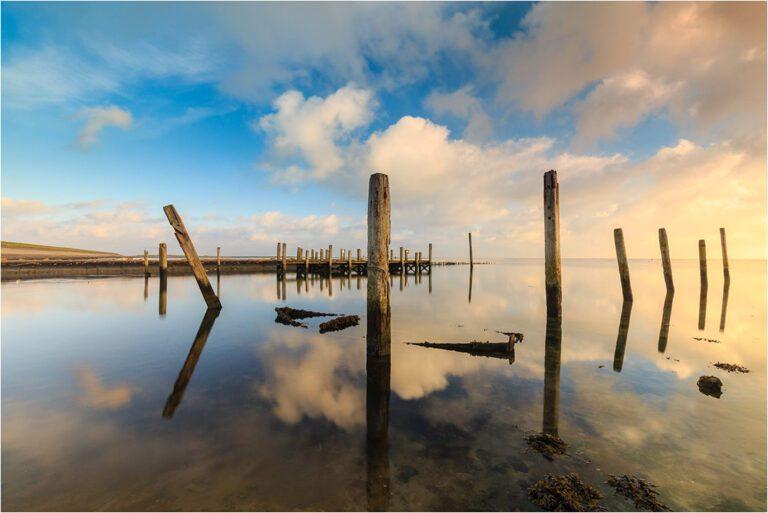 Fotoreis Texel - Dave Zuuring