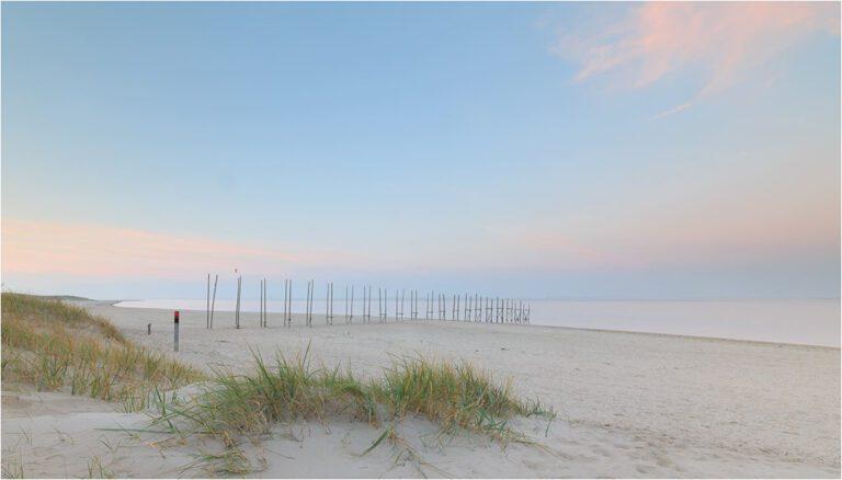Fotoreis Texel - Dave Zuuring
