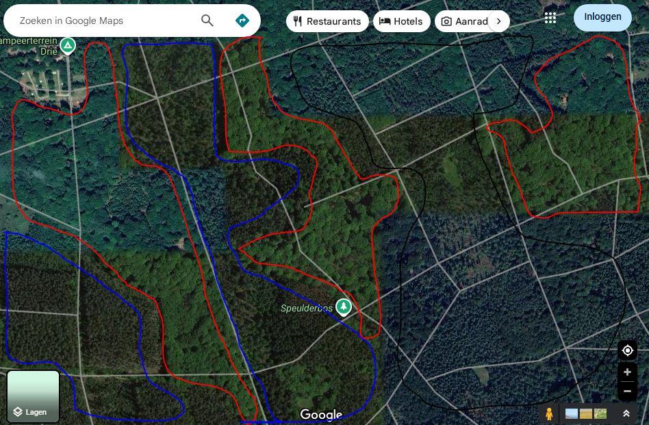 Bosperceel Speulderbos Drie - Paul Begijn