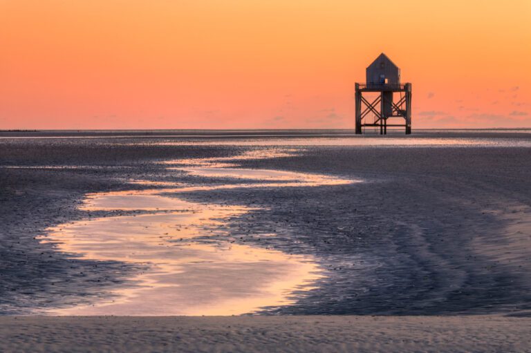 Fotografie excursie 24 uur Wad met klipper - Ronald Rozema