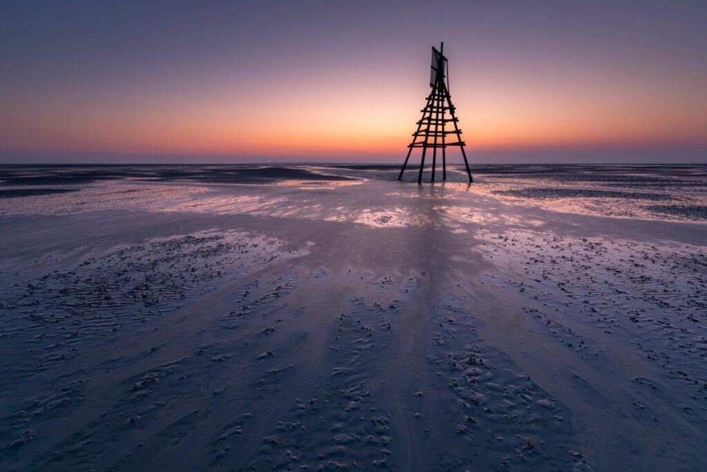 Fotografie excursie 24 uur Wad met klipper - Ronald Rozema
