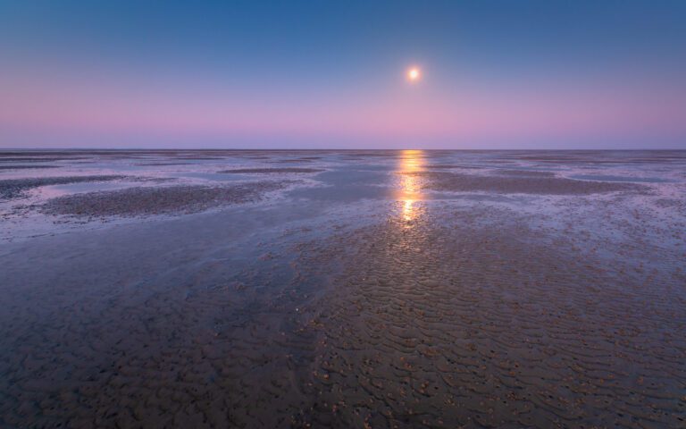 Fotografie excursie 24 uur Wad met klipper - Ronald Rozema