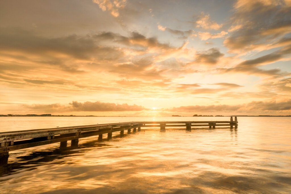 Steiger - Ellen van den Doel