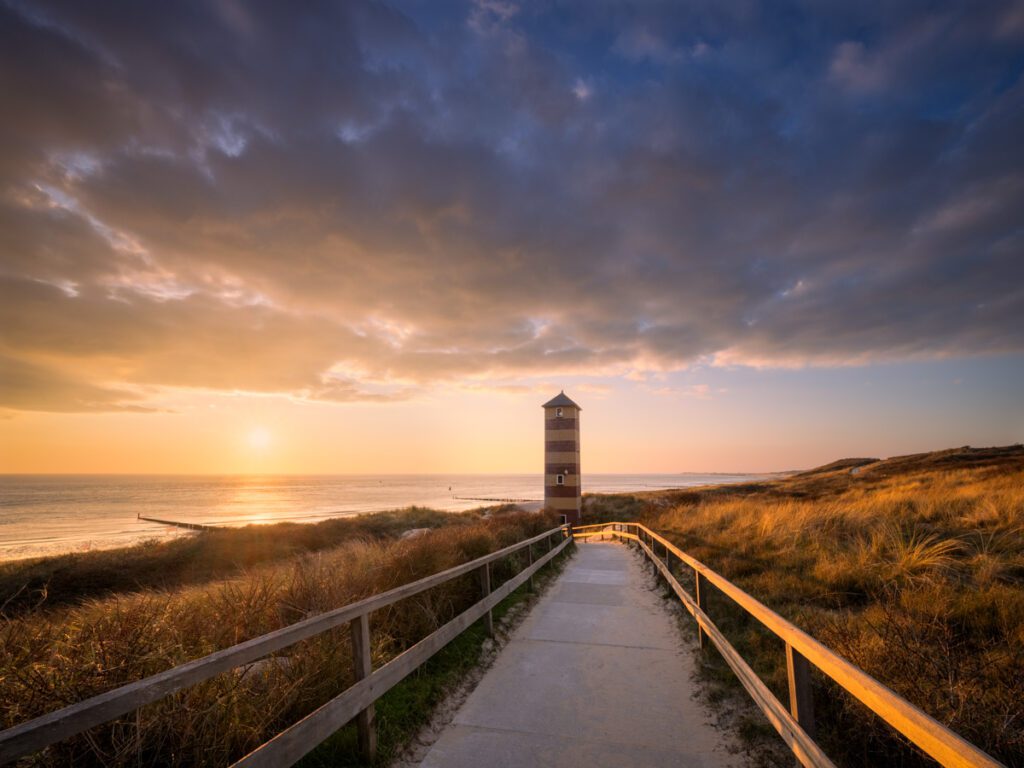 Dishoek - Ellen van den Doel