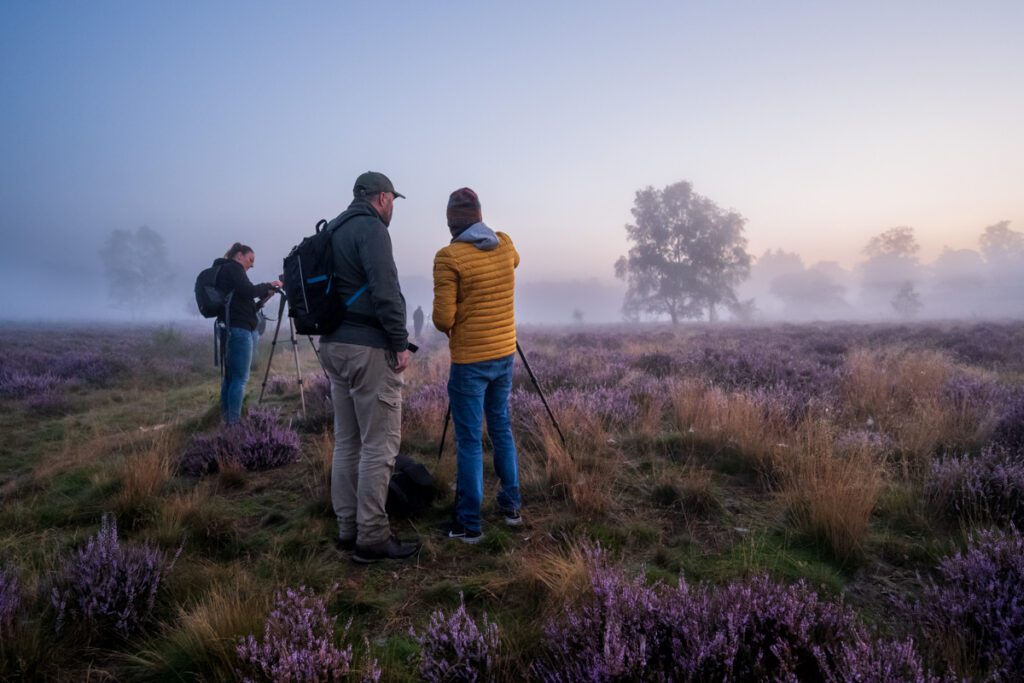Dave Zuuring - heide