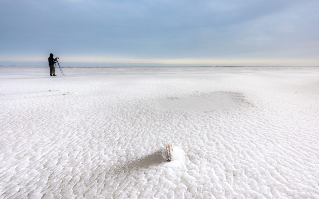 Wad winter - Ronald Rozema