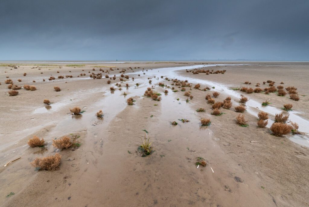 Ellen van den Doel - Kwade Hoek