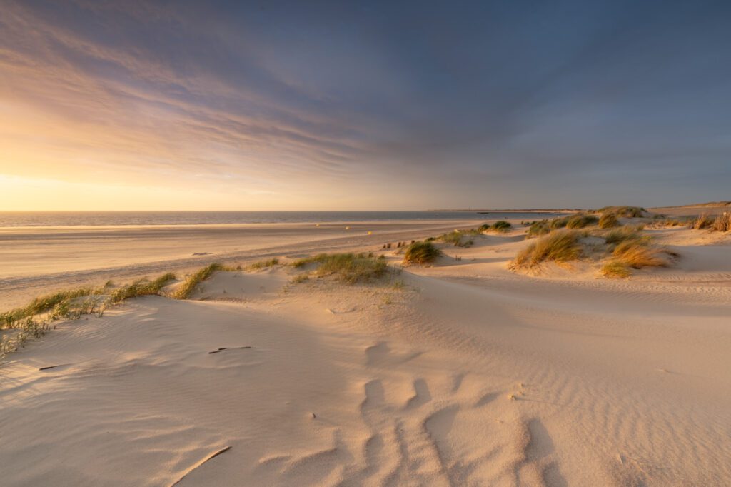 Ellen van den Doel - Strand