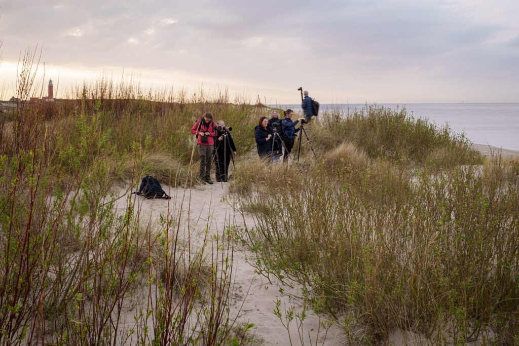 Fotoreis Texel - Dave Zuuring