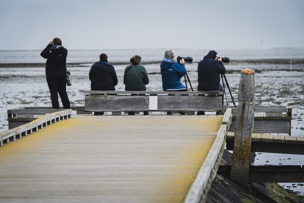 Fotoreis Texel - Dave Zuuring