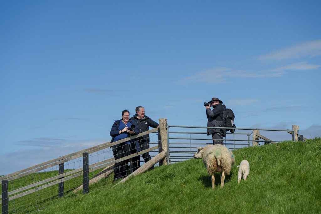 Fotoreis Texel - Dave Zuuring