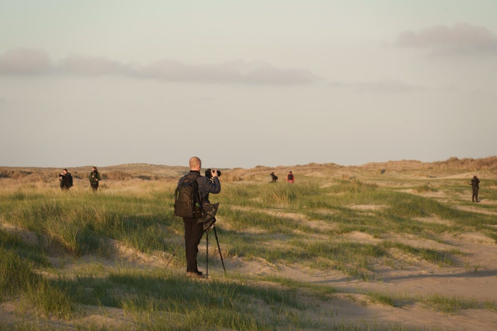 Fotoreis Texel - Dave Zuuring