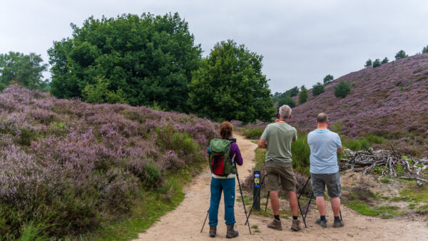 Fotowandeling heide - Dave Zuuring