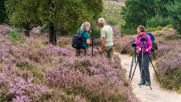 Fotowandeling heide - Dave Zuuring