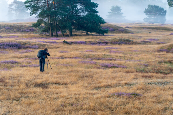 Fotowandeling heide - Dave Zuuring