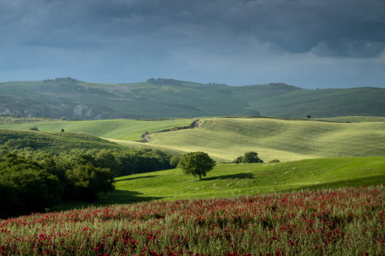 Toscane - Ellen van den Doel