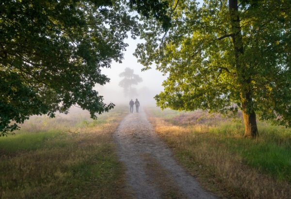 Fotowandeling heide - Dave Zuuring