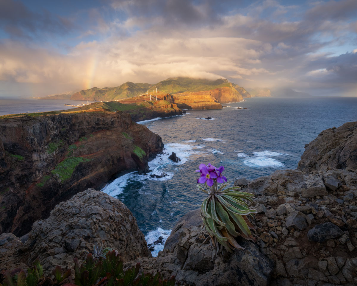 Madeira - Ellen van den  Doel